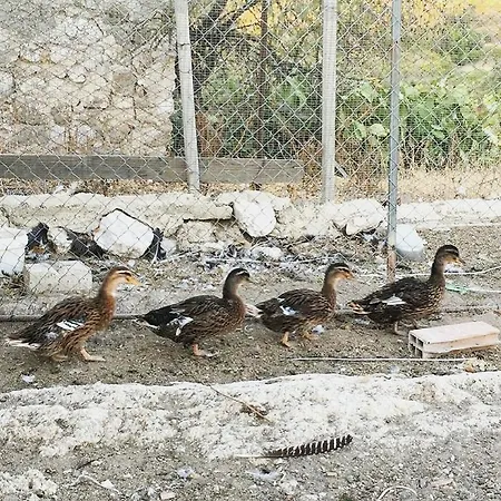 Alloggio per agriturismo La Casa Di Bacco
