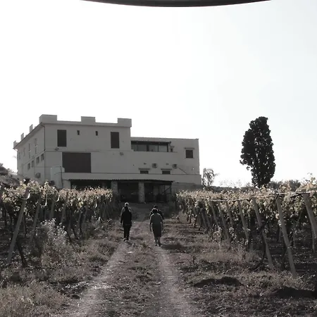 农家乐 La Casa Di Bacco 阿格里真托