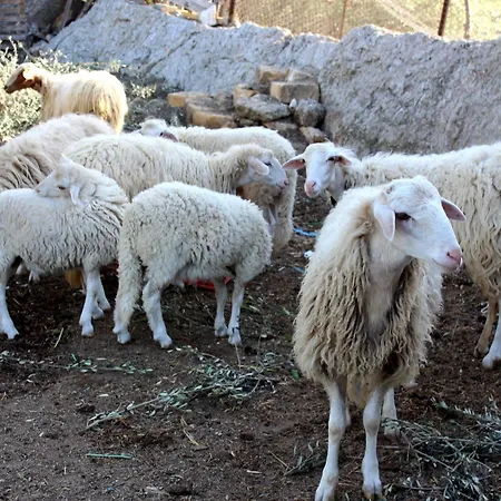 Alloggio per agriturismo La Casa Di Bacco *
