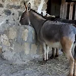 Vakantieboerderij La Casa Di Bacco *