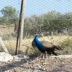 La Casa Di Bacco Vakantieboerderij *
