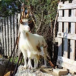 La Casa Di Bacco Vakantieboerderij