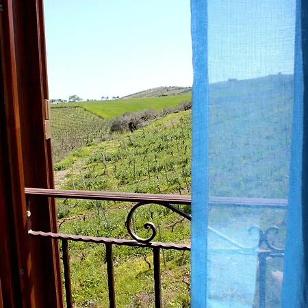 La Casa Di Bacco *