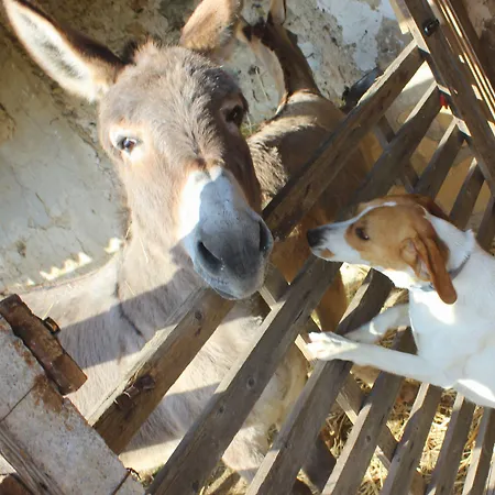 Farma La Casa Di Bacco *