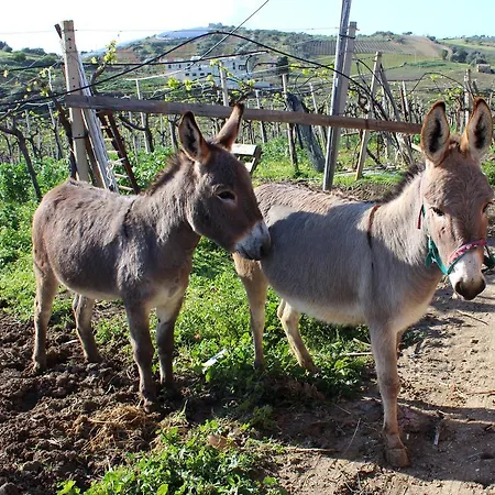La Casa Di Bacco Farm stay *