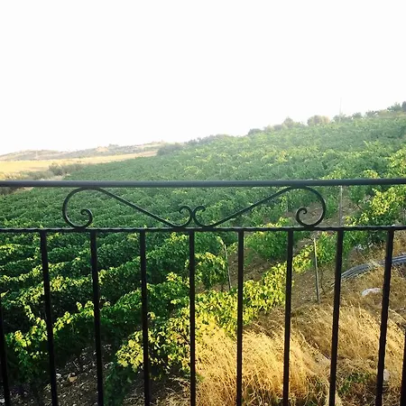 La Casa Di Bacco *