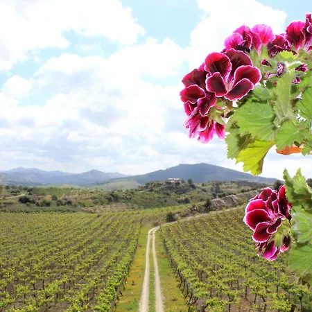 La Casa Di Bacco Farm stay Agrigento