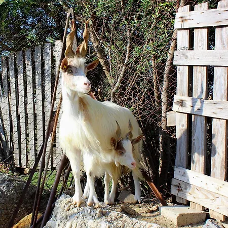 La Casa Di Bacco *
