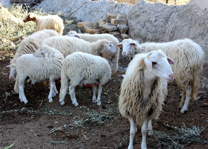 La Casa Di Bacco * Agrigento