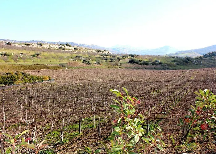 La Casa Di Bacco Farma