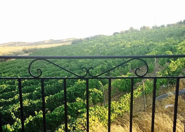 La Casa Di Bacco *