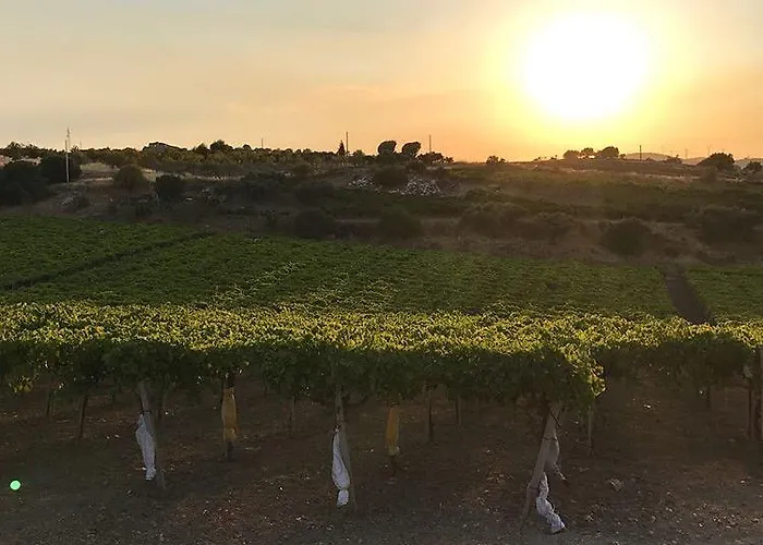 La Casa Di Bacco *